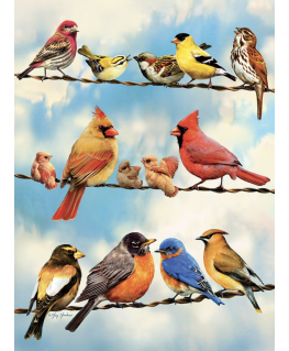 Cobble Hill puzzle 500 pieces - Birds on a Wire