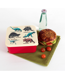 Prehistoric land lunch box - Rex
