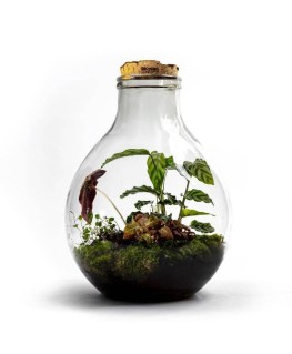 EcocorkXL Botanisch - ↕47cm / ⌀32cm - Growing Concept