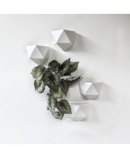 Magnetic wallplanter ICO wit - Groovy Magnets