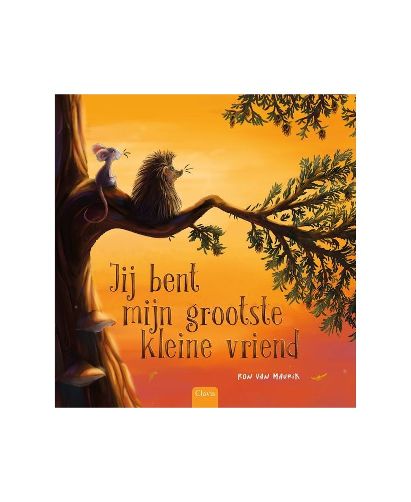 Jij bent mijn Grootste Kleine Vriend - Clavis