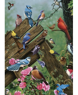 Cobble Hill puzzle 1000 pieces - Birds of the Forest